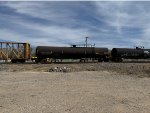 CBTX 781568